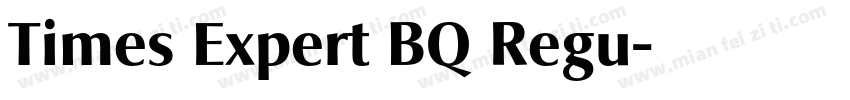 Times Expert BQ Regu字体转换